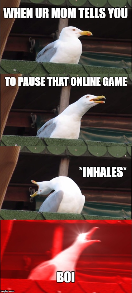 Inhaling Seagull | WHEN UR MOM TELLS YOU; TO PAUSE THAT ONLINE GAME; *INHALES*; BOI | image tagged in memes,inhaling seagull | made w/ Imgflip meme maker