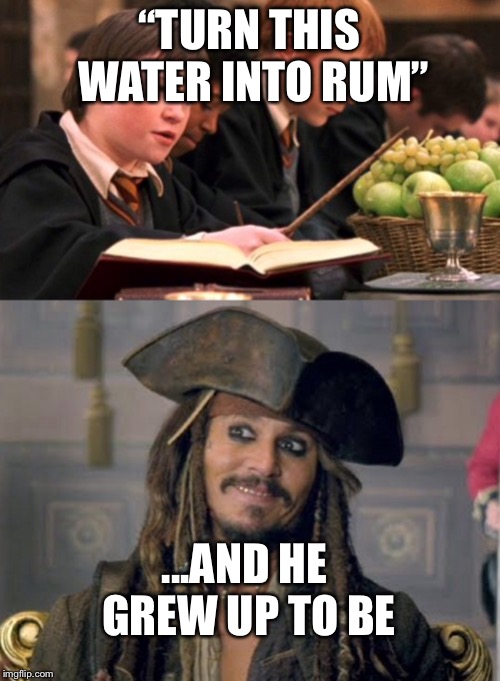 “TURN THIS WATER INTO RUM”; ...AND HE GREW UP TO BE | image tagged in harry potter | made w/ Imgflip meme maker