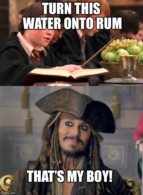 TURN THIS WATER ONTO RUM; THAT’S MY BOY! | image tagged in harry potter | made w/ Imgflip meme maker