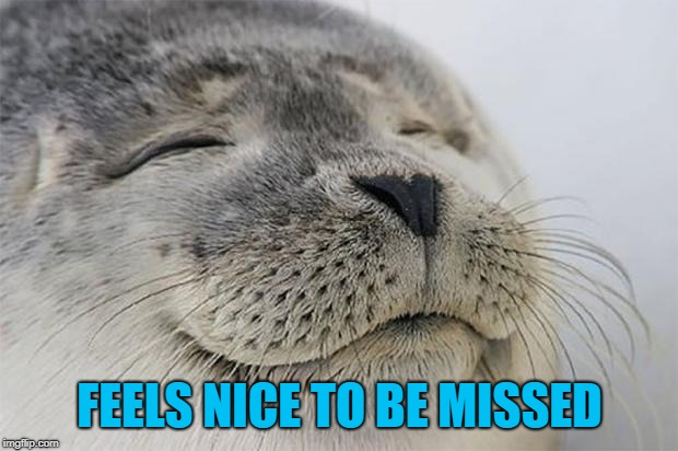 Satisfied Seal Meme | FEELS NICE TO BE MISSED | image tagged in memes,satisfied seal | made w/ Imgflip meme maker
