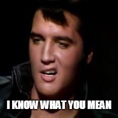 Elvis, thank you | I KNOW WHAT YOU MEAN | image tagged in elvis thank you | made w/ Imgflip meme maker