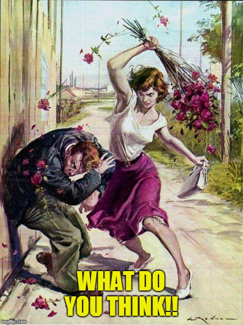 Beaten with Roses | WHAT DO YOU THINK!! | image tagged in beaten with roses | made w/ Imgflip meme maker