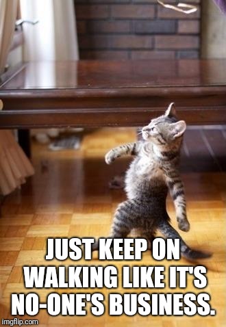 Cool Cat Stroll Meme | JUST KEEP ON WALKING LIKE IT'S NO-ONE'S BUSINESS. | image tagged in memes,cool cat stroll | made w/ Imgflip meme maker
