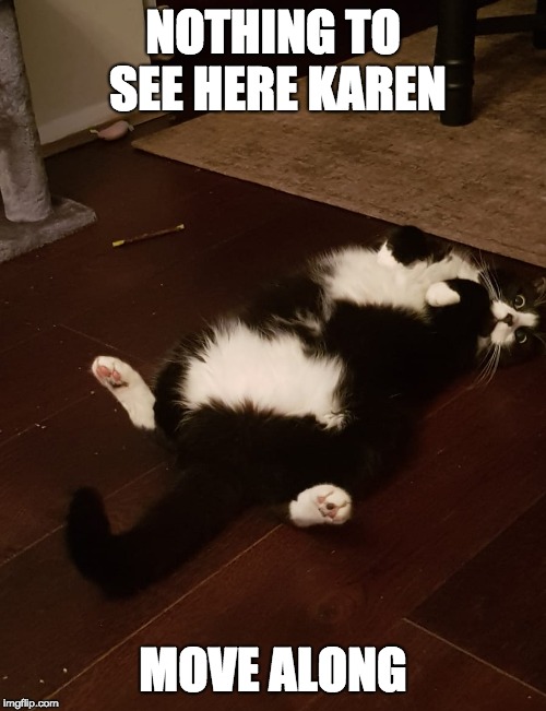 NOTHING TO SEE HERE KAREN; MOVE ALONG | image tagged in nothing to see karen | made w/ Imgflip meme maker
