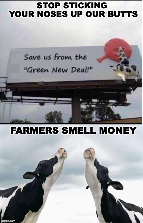 The Smell of Money | STOP STICKING YOUR NOSES UP OUR BUTTS; FARMERS SMELL MONEY | image tagged in cows,farts,environment,economics,funny signs | made w/ Imgflip meme maker
