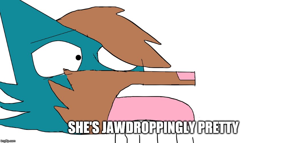 SHE'S JAWDROPPINGLY PRETTY | made w/ Imgflip meme maker