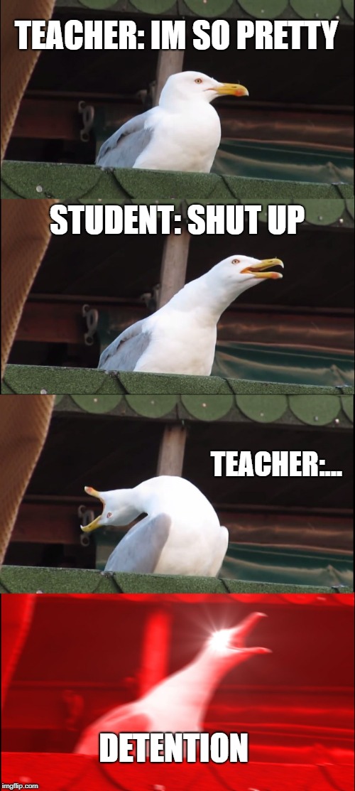 Inhaling Seagull Meme | TEACHER: IM SO PRETTY; STUDENT: SHUT UP; TEACHER:... DETENTION | image tagged in memes,inhaling seagull | made w/ Imgflip meme maker