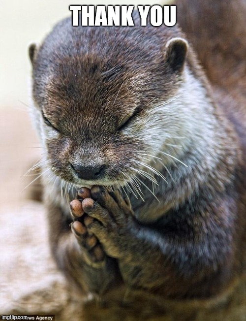 Thank you Lord Otter | THANK YOU | image tagged in thank you lord otter | made w/ Imgflip meme maker