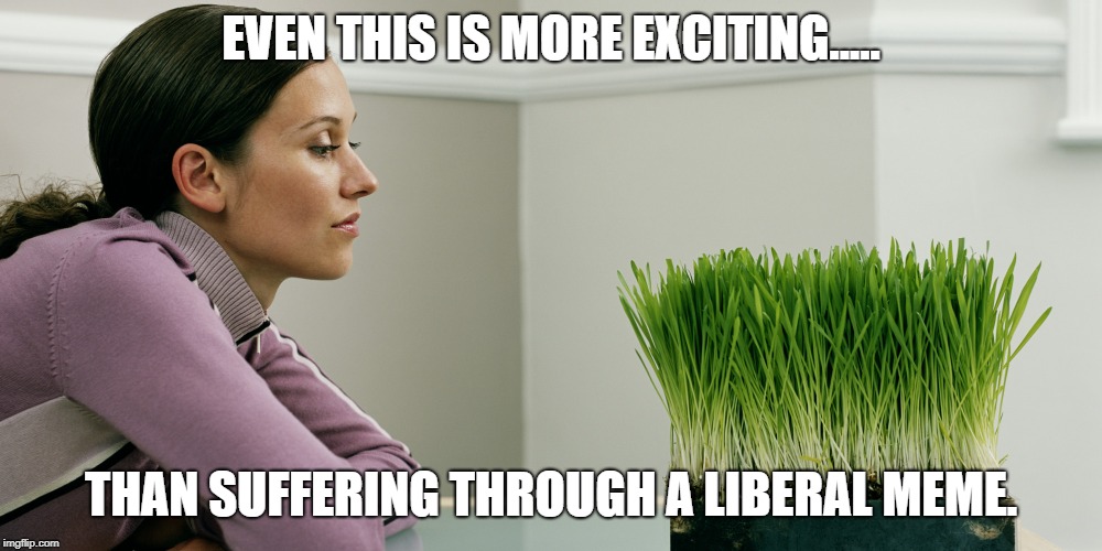 Liberal meme is worse than watching grass grow. | EVEN THIS IS MORE EXCITING..... THAN SUFFERING THROUGH A LIBERAL MEME. | image tagged in liberals,liberal logic | made w/ Imgflip meme maker