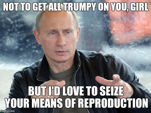 Pick up line Putin | NOT TO GET ALL TRUMPY ON YOU, GIRL; BUT I'D LOVE TO SEIZE YOUR MEANS OF REPRODUCTION | image tagged in pun putin | made w/ Imgflip meme maker