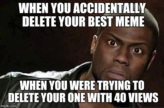 Kevin Hart Meme | WHEN YOU ACCIDENTALLY DELETE YOUR BEST MEME; WHEN YOU WERE TRYING TO DELETE YOUR ONE WITH 40 VIEWS | image tagged in memes,kevin hart | made w/ Imgflip meme maker