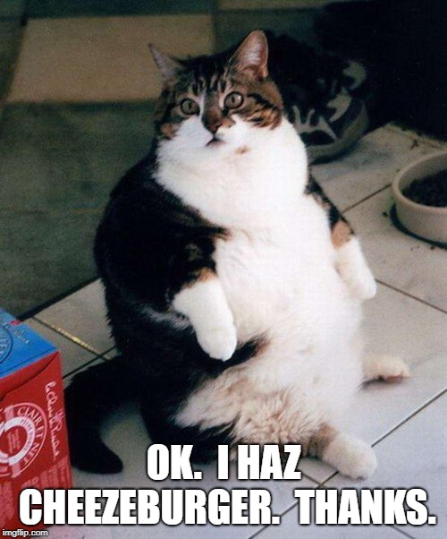 I haz Cheezeburger | OK.  I HAZ CHEEZEBURGER.  THANKS. | image tagged in fat cat,cheeseburger | made w/ Imgflip meme maker