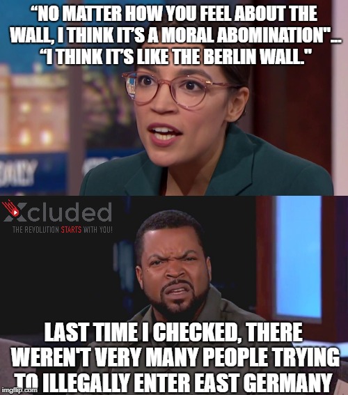 “NO MATTER HOW YOU FEEL ABOUT THE WALL, I THINK IT’S A MORAL ABOMINATION"... “I THINK IT’S LIKE THE BERLIN WALL."; LAST TIME I CHECKED, THERE WEREN'T VERY MANY PEOPLE TRYING TO ILLEGALLY ENTER EAST GERMANY | image tagged in really ice cube | made w/ Imgflip meme maker