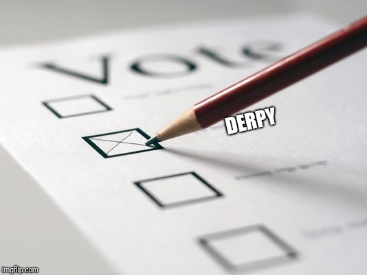Voting Ballot | DERPY | image tagged in voting ballot | made w/ Imgflip meme maker