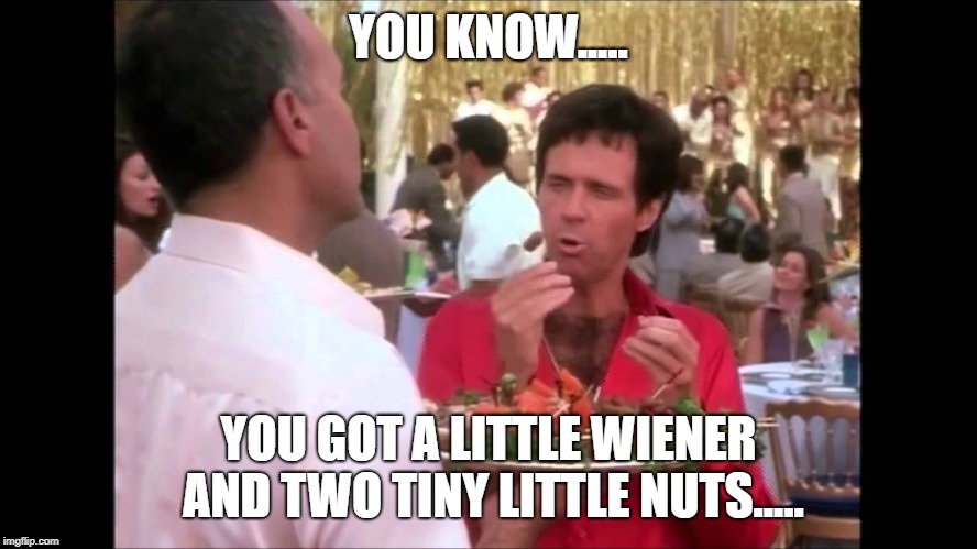 Little wiener and two tiny little nuts | YOU KNOW..... YOU GOT A LITTLE WIENER AND TWO TINY LITTLE NUTS..... | image tagged in disguise,movie quotes,movies | made w/ Imgflip meme maker