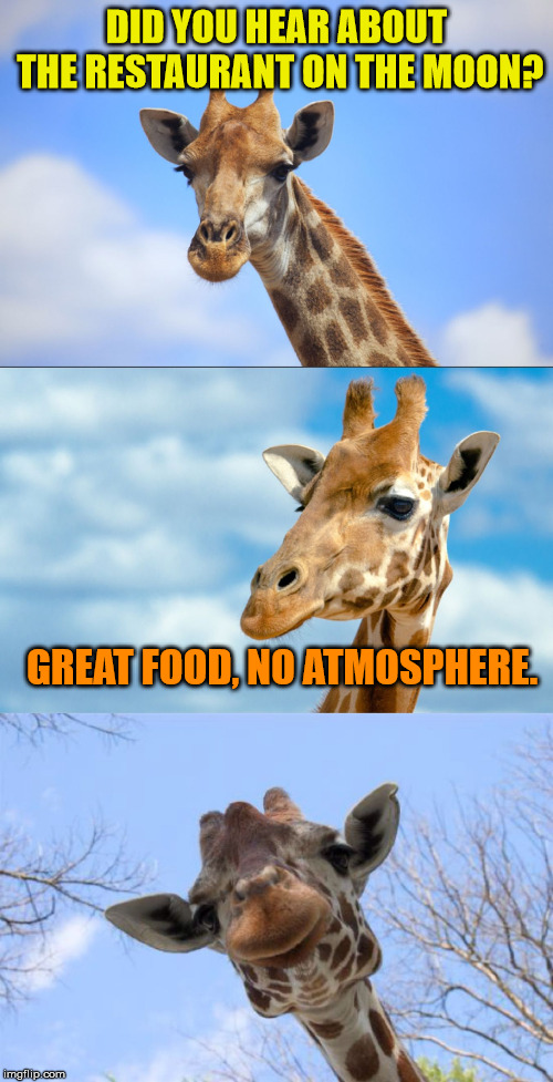 PUN-ish me for this one... ;) | DID YOU HEAR ABOUT THE RESTAURANT ON THE MOON? GREAT FOOD, NO ATMOSPHERE. | image tagged in bad pun giraffe,puns,bad puns,moon,jokes | made w/ Imgflip meme maker