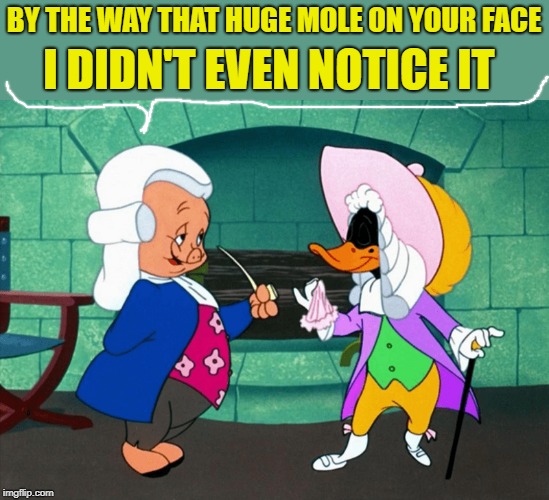 just be nice |  BY THE WAY THAT HUGE MOLE ON YOUR FACE; I DIDN'T EVEN NOTICE IT | image tagged in porky pig,daffy duck,silly | made w/ Imgflip meme maker