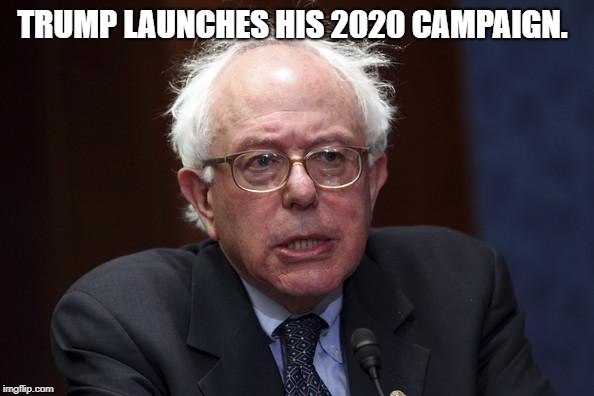 Bernie Sanders | TRUMP LAUNCHES HIS 2020 CAMPAIGN. | image tagged in bernie sanders | made w/ Imgflip meme maker
