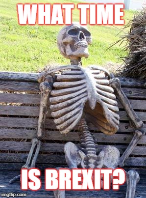 Waiting Skeleton Meme | WHAT TIME; IS BREXIT? | image tagged in memes,waiting skeleton | made w/ Imgflip meme maker