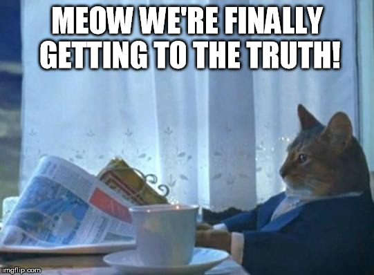 Cat newspaper | MEOW WE'RE FINALLY GETTING TO THE TRUTH! | image tagged in cat newspaper | made w/ Imgflip meme maker