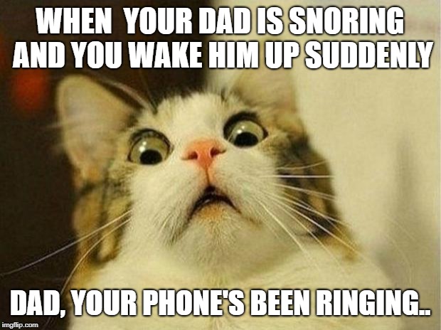 Scared Cat Meme | WHEN  YOUR DAD IS SNORING AND YOU WAKE HIM UP SUDDENLY; DAD, YOUR PHONE'S BEEN RINGING.. | image tagged in memes,scared cat | made w/ Imgflip meme maker