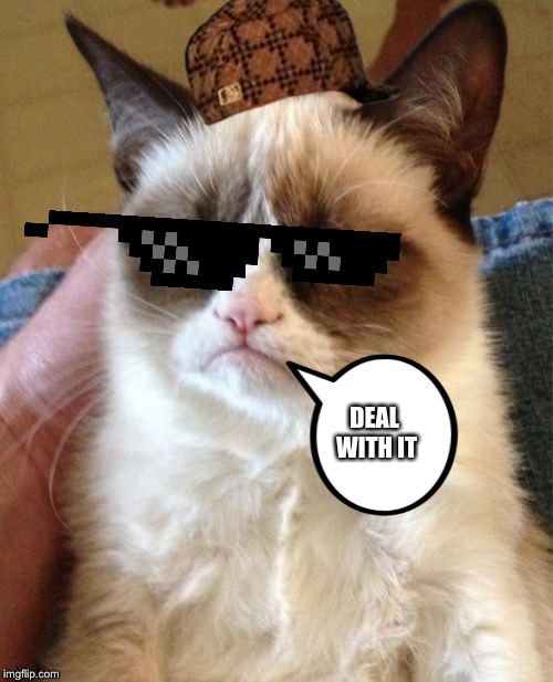 Grumpy Cat | DEAL WITH IT | image tagged in memes,grumpy cat | made w/ Imgflip meme maker