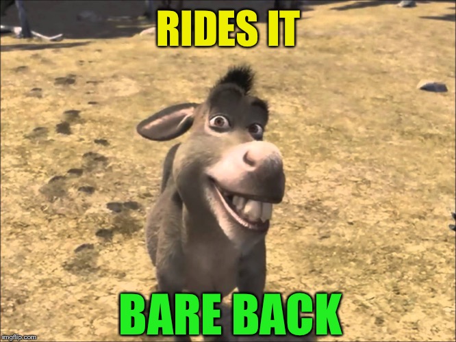 Donkey Shrek | RIDES IT BARE BACK | image tagged in donkey shrek | made w/ Imgflip meme maker