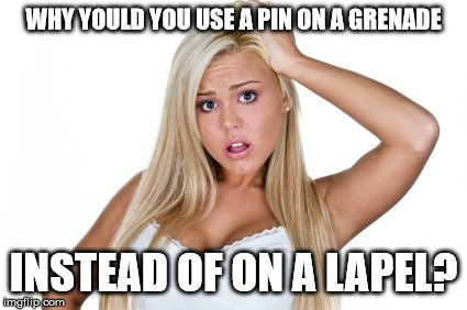 Dumb Blonde | WHY YOULD YOU USE A PIN ON A GRENADE INSTEAD OF ON A LAPEL? | image tagged in dumb blonde | made w/ Imgflip meme maker