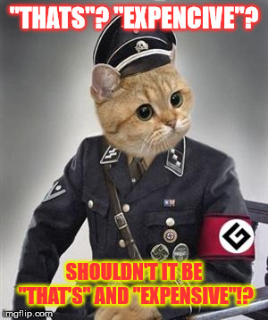 Grammar Nazi Cat | "THATS"? "EXPENCIVE"? SHOULDN'T IT BE "THAT'S" AND "EXPENSIVE"!? | image tagged in grammar nazi cat | made w/ Imgflip meme maker