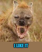 Mohawk hyena | I LIKE IT | image tagged in mohawk hyena | made w/ Imgflip meme maker