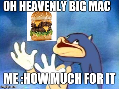 Sanic |  OH HEAVENLY BIG MAC; ME :HOW MUCH FOR IT | image tagged in sanic | made w/ Imgflip meme maker
