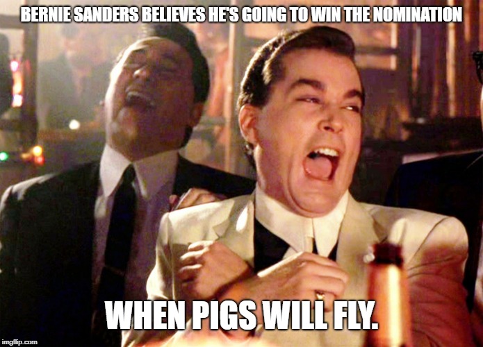 Good Fellas Hilarious | BERNIE SANDERS BELIEVES HE'S GOING TO WIN THE NOMINATION; WHEN PIGS WILL FLY. | image tagged in memes,good fellas hilarious | made w/ Imgflip meme maker