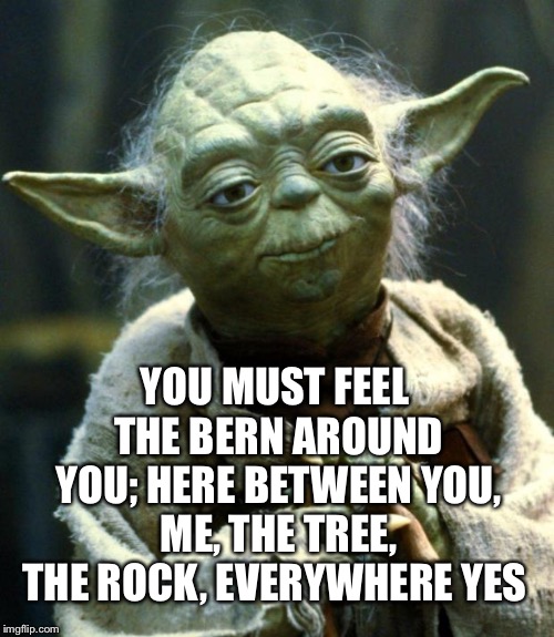 Star Wars Yoda Meme | YOU MUST FEEL THE BERN AROUND YOU; HERE BETWEEN YOU, ME, THE TREE, THE ROCK, EVERYWHERE YES | image tagged in memes,star wars yoda | made w/ Imgflip meme maker