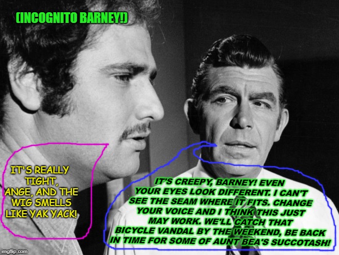 (INCOGNITO BARNEY!); IT'S CREEPY, BARNEY! EVEN YOUR EYES LOOK DIFFERENT. I CAN'T SEE THE SEAM WHERE IT FITS. CHANGE YOUR VOICE AND I THINK THIS JUST MAY WORK. WE'LL CATCH THAT BICYCLE VANDAL BY THE WEEKEND, BE BACK IN TIME FOR SOME OF AUNT BEA'S SUCCOTASH! IT'S REALLY TIGHT, ANGE, AND THE WIG SMELLS LIKE YAK YACK! | image tagged in barney fife incognito | made w/ Imgflip meme maker