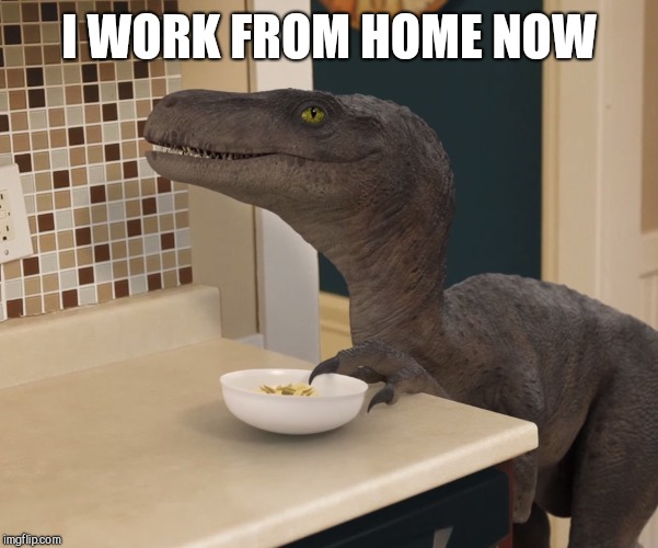 velociraptor | I WORK FROM HOME NOW | image tagged in velociraptor | made w/ Imgflip meme maker