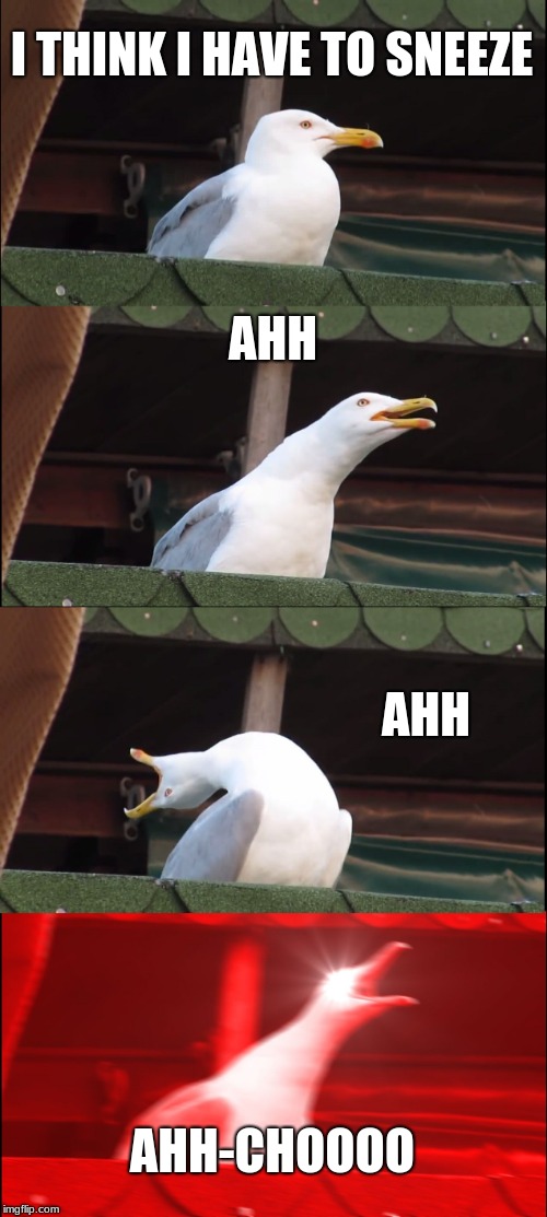 Inhaling Seagull | I THINK I HAVE TO SNEEZE; AHH; AHH; AHH-CHOOOO | image tagged in memes,inhaling seagull | made w/ Imgflip meme maker