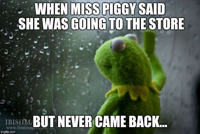 kermit window | WHEN MISS PIGGY SAID SHE WAS GOING TO THE STORE; BUT NEVER CAME BACK... | image tagged in kermit window | made w/ Imgflip meme maker