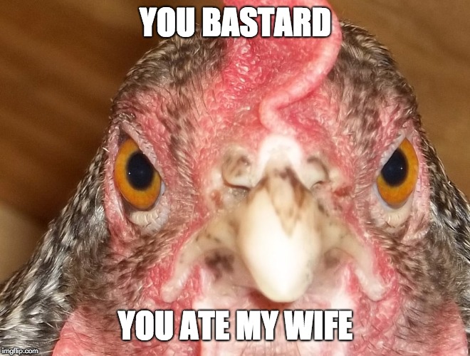 Angry Chicken | YOU BASTARD YOU ATE MY WIFE | image tagged in angry chicken | made w/ Imgflip meme maker