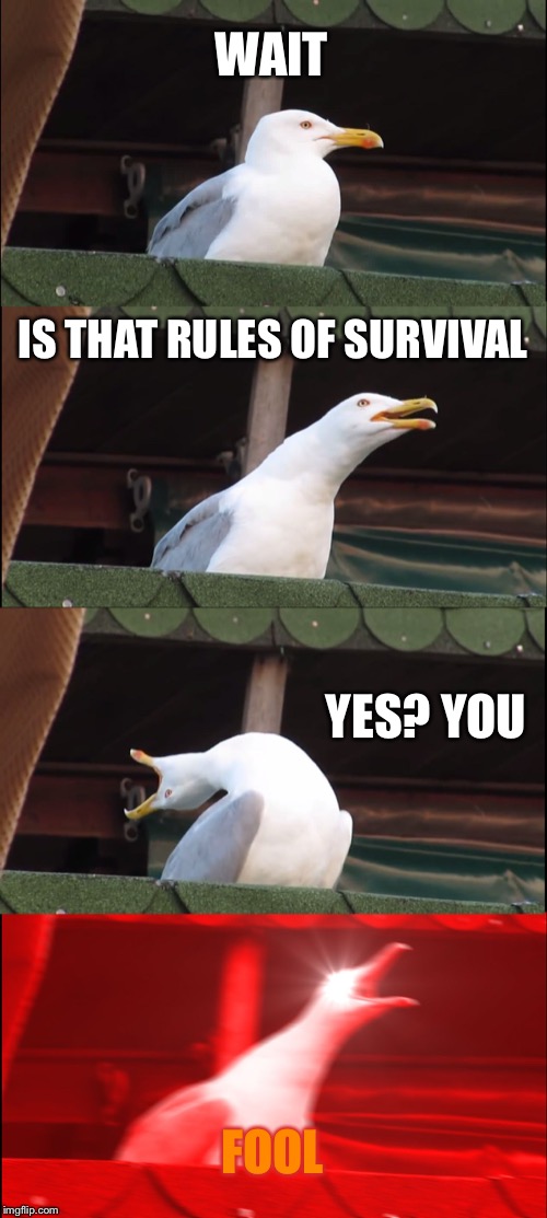 Dude it is 2019 | WAIT; IS THAT RULES OF SURVIVAL; YES? YOU; FOOL | image tagged in memes,inhaling seagull,funny,funny memes | made w/ Imgflip meme maker