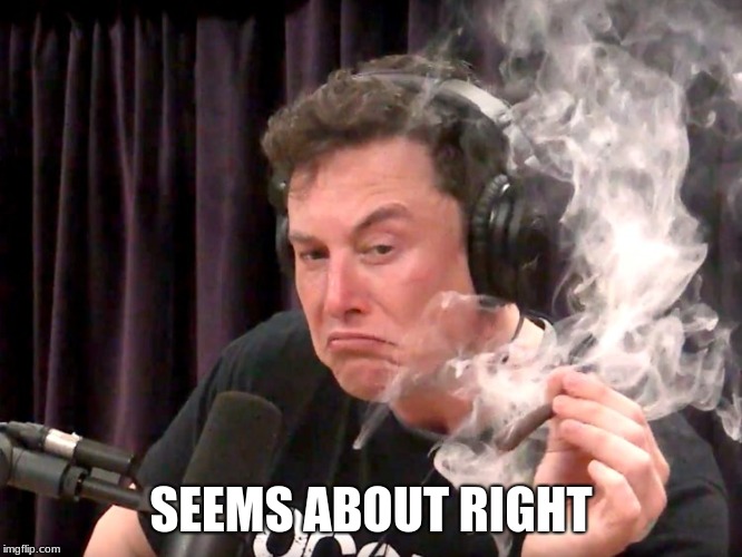 Elon Musk Weed | SEEMS ABOUT RIGHT | image tagged in elon musk weed | made w/ Imgflip meme maker