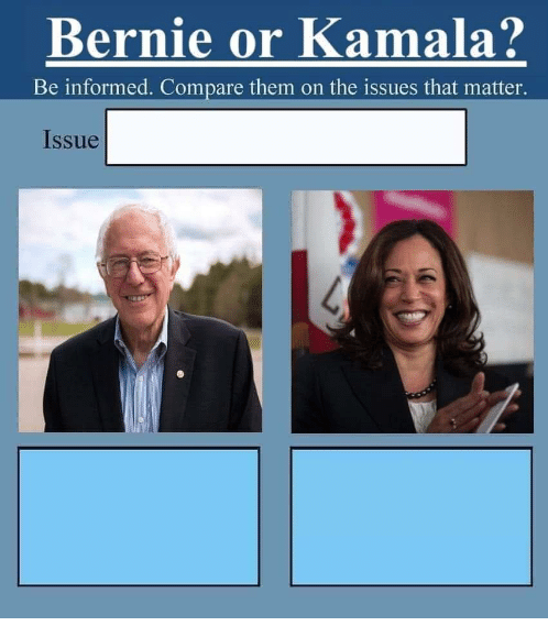 High Quality Bernie or Kamala Blank Meme Template