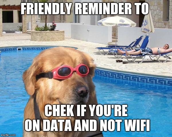 doggo | FRIENDLY REMINDER TO; CHEK IF YOU'RE ON DATA AND NOT WIFI | image tagged in doggo | made w/ Imgflip meme maker