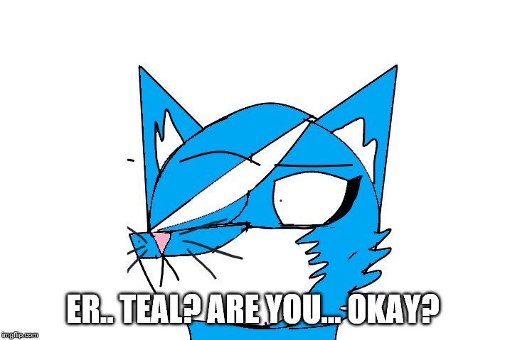 ER.. TEAL? ARE YOU... OKAY? | made w/ Imgflip meme maker