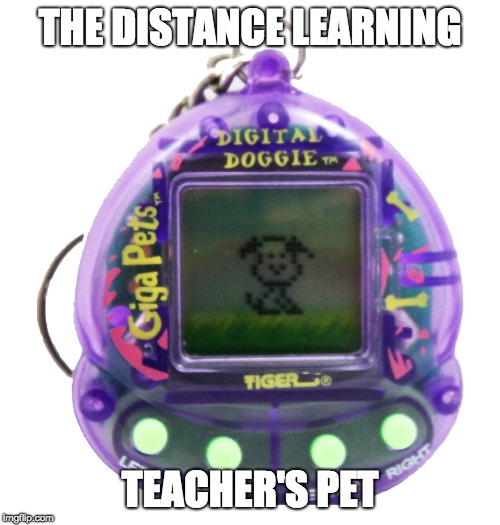 THE DISTANCE LEARNING; TEACHER'S PET | image tagged in teacher meme | made w/ Imgflip meme maker