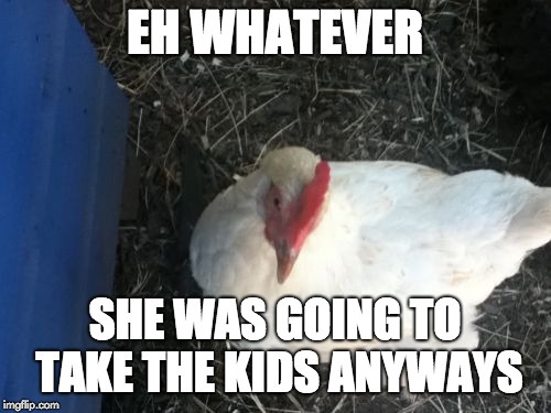Angry Chicken Boss Meme | EH WHATEVER SHE WAS GOING TO TAKE THE KIDS ANYWAYS | image tagged in memes,angry chicken boss | made w/ Imgflip meme maker