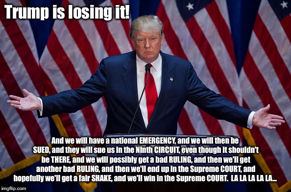 Just singing the same old song | Trump is losing it! And we will have a national EMERGENCY, and we will then be SUED, and they will sue us in the NInth CIRCUIT, even though it shouldn't be THERE, and we will possibly get a bad RULING, and then we'll get another bad RULING, and then we'll end up in the Supreme COURT, and hopefully we'll get a fair SHAKE, and we'll win in the Supreme COURT.  LA LA LA LA LA... | image tagged in donald trump | made w/ Imgflip meme maker