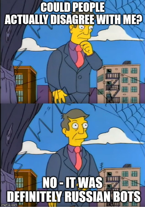 Skinner Out Of Touch | COULD PEOPLE ACTUALLY DISAGREE WITH ME? NO - IT WAS DEFINITELY RUSSIAN BOTS | image tagged in skinner out of touch | made w/ Imgflip meme maker