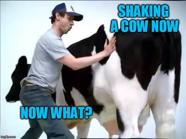 SHAKING A COW NOW NOW WHAT? | made w/ Imgflip meme maker
