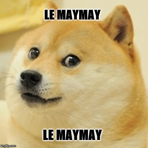 Doge Meme | LE MAYMAY; LE MAYMAY | image tagged in memes,doge | made w/ Imgflip meme maker