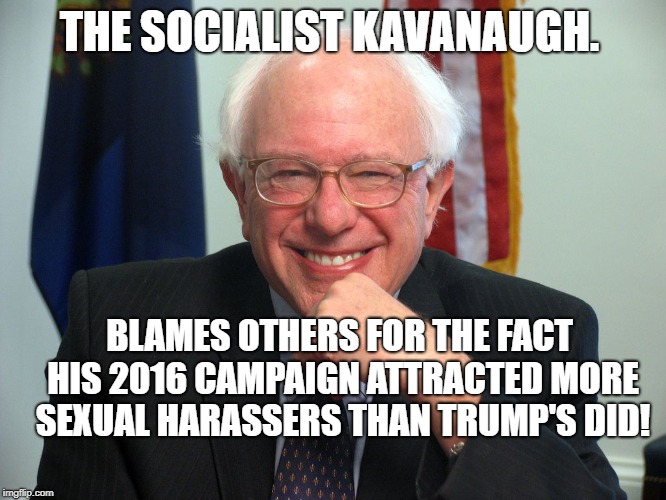 Vote Bernie Sanders | THE SOCIALIST KAVANAUGH. BLAMES OTHERS FOR THE FACT HIS 2016 CAMPAIGN ATTRACTED MORE SEXUAL HARASSERS THAN TRUMP'S DID! | image tagged in vote bernie sanders | made w/ Imgflip meme maker